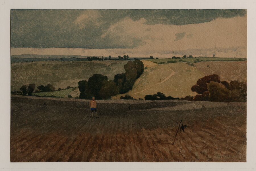 The Ploughed Field